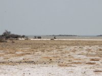 Etosha2011015 : Etosha, Leisurewheels, Me, Namibia