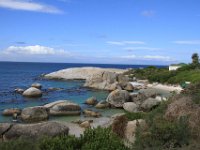 BouldersBeach017 : 2016, Boulders Beach, West Coast